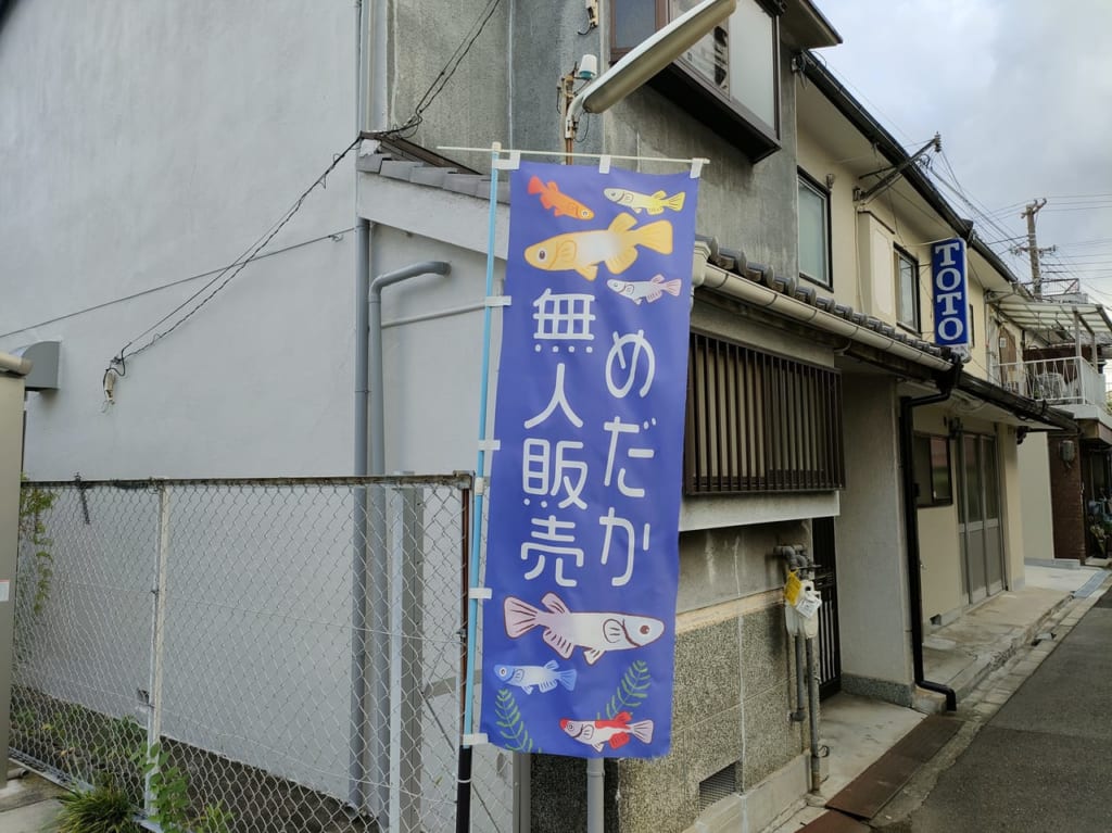 メダカの無人販売店