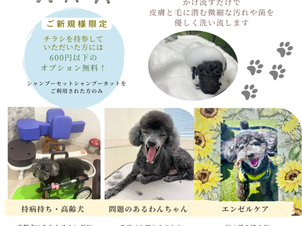 トリミングサロンPJA