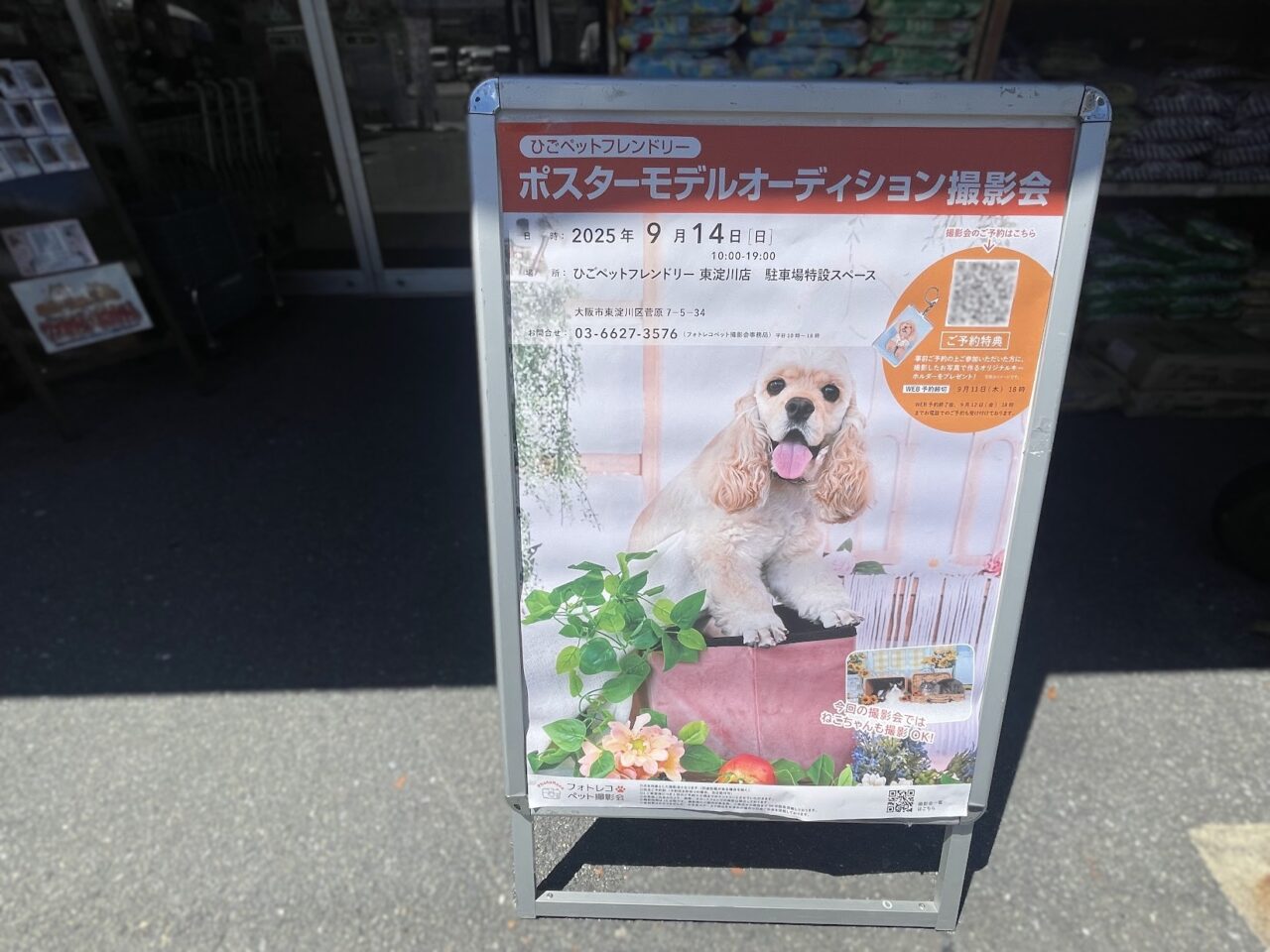 ひごペットフレンドリーのポスターオーディション案内