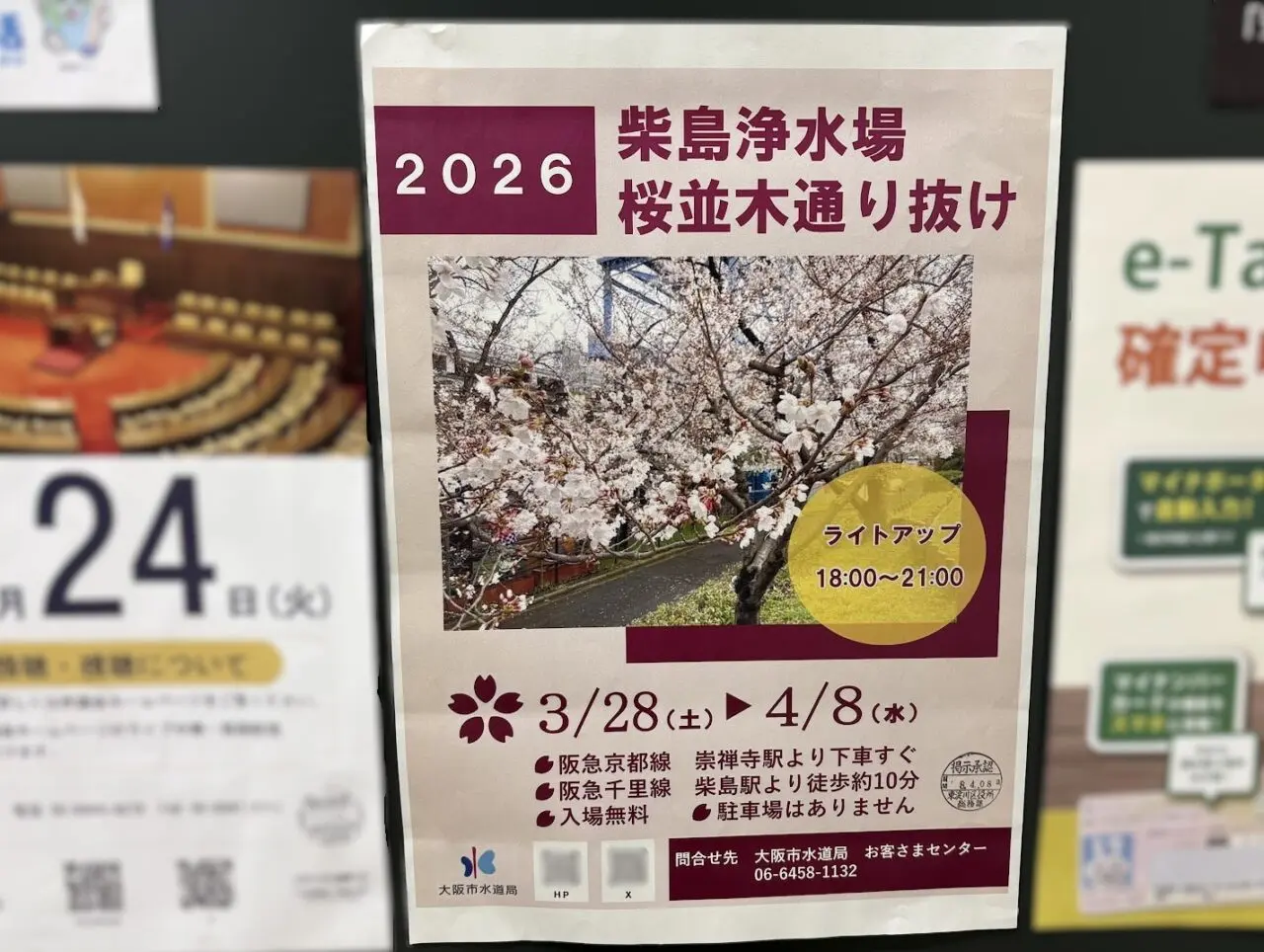 柴島浄水場の桜並木通り抜け実施案内のチラシ