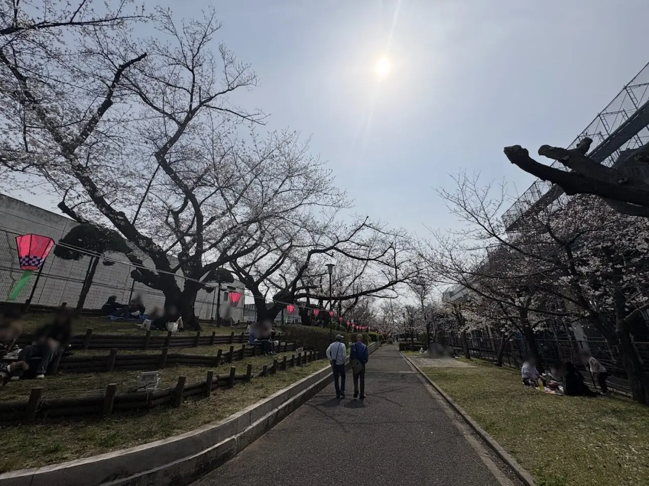 柴島浄水場の桜の通り抜けの風景２